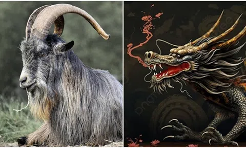 Sau ngày 26/4, vận rủi sẽ qua đi, 4 con giáp gặp quý nhân phù trợ, sự nghiệp khởi sắc, tài vận phát đạt