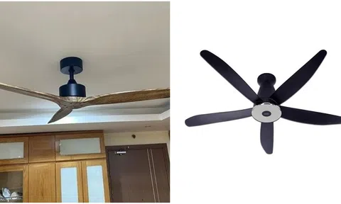 Bí ẩn đằng sau những cánh quạt: Tại sao thường là 3 đến 5 cánh mà không phải 4 hay 6 cánh?