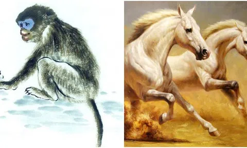 Từ 8/5 - 8/6, 4 con giáp gặp vận may không thể ngăn cản, đón tin vui, tài lộc ập đến