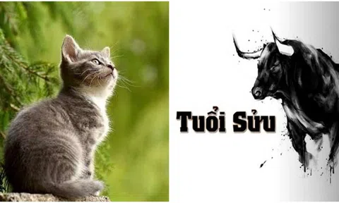 Đúng ngày 19/5, 3 con giáp sau đây bất ngờ phát tài nhờ 'phi vụ triệu đô' trong sự nghiệp