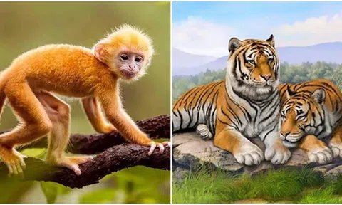 Sau ngày 2/6, 4 con giáp sẽ có sự nghiệp phát đạt, phú quý dồi dào