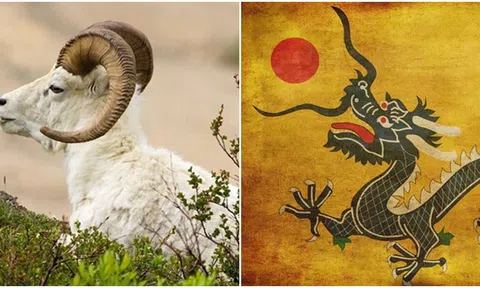 Bắt đầu từ 1/6, 3 con giáp sau đây sẽ khởi đầu thời kỳ vàng son của sự nghiệp, tiền đếm mỏi tay