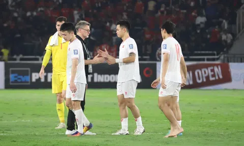 Việt Nam tụt hạng sâu trên BXH FIFA, các đội Đông Nam Á còn lại ra sao?