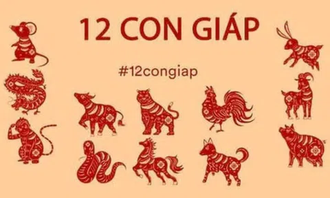 Tử vi 12 con giáp hôm nay ngày 28/8/2023: Tuổi Thìn đào hoa nở rộ,  tuổi Thân thận trọng khi tìm việc