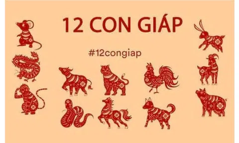 Tử vi 12 con giáp hôm nay ngày 11/9/2023: Tuổi Dần tranh chấp trong công việc, tuổi Mùi bị đàm tiếu