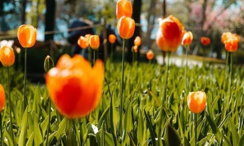 Từ 26/9-19/10: 3 tuổi này được Thần Tài ưu ái, dám nghĩ dám làm thì 'tiền chảy vào túi' không ngừng