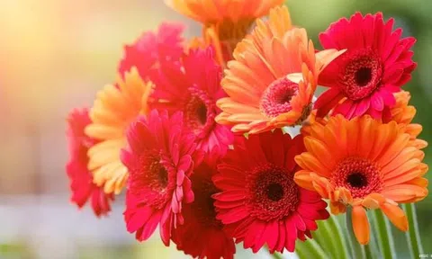 Tan sương, vén mây: 3 con giáp gặp nhiều may mắn nhất tháng 10, sự nghiệp thăng hoa, của cải vào như sóng cồn