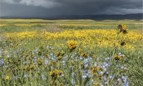 Từ 13/10: 3 con giáp đón quý nhân, khai mở phúc lộc, nhưng tuyệt đối đừng quên 2 chữ 'khiêm tốn'