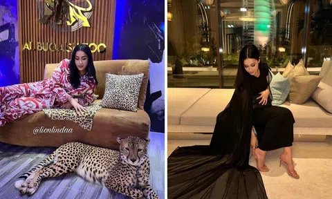 TikToker bị chỉ trích vì tiêu gần 50 tỷ của chồng trong một tuần, liên tục khoe chuyện 'đào mỏ' lên mạng