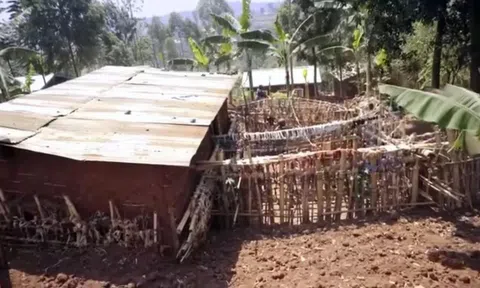 Trai tân 71 tuổi dựng rào cao 4,5m quanh nhà để trốn tránh phụ nữ suốt 55 năm