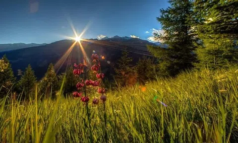 15 ngày tới: 3 con giáp này sáng tạo và nỗ lực không ngừng thì cuộc sống ngập tràn may mắn và hạnh phúc