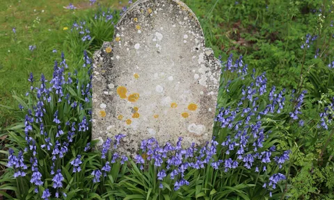 Nghi lễ an táng người quá cố có từ khi nào?