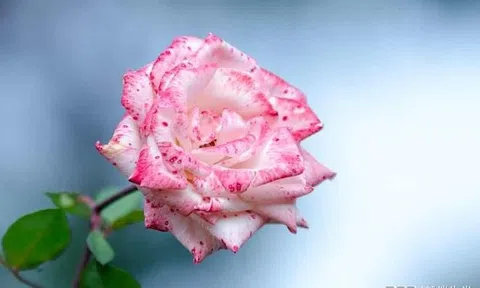 30 ngày tới: 3 con giáp này được Thần May Mắn gọi tên, khổ tận cam lai, hầu bao rủng rỉnh