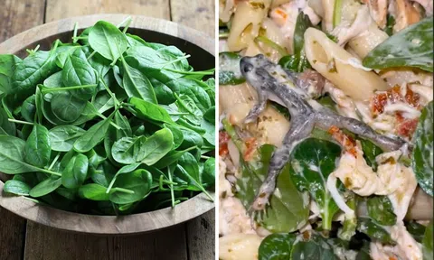 Cô gái 'mất hồn mất vía' khi phát hiện vật thể lạ trong túi rau bina mua ở siêu thị