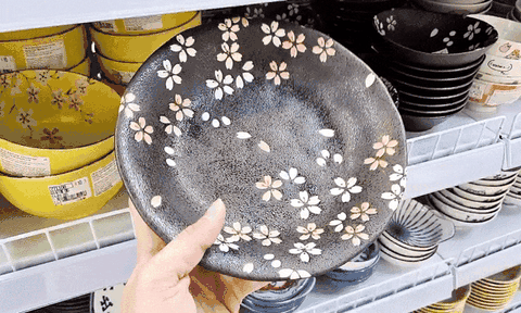 Tại sao đĩa ăn ban đầu có hình tròn mà không phải hình vuông hay đa giác?