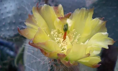 2 tháng cuối năm: 3 con giáp này vượng quý nhân, sự nghiệp lên dốc như được gắn tên lửa