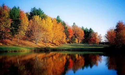 Từ ngày 4-24/11: 3 con giáp được cát tinh soi chiếu, chuyển vận thành công, tài lộc hùng hậu