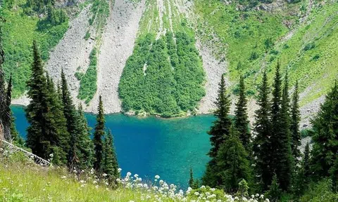 Từ ngày 9/11: Trời ban cơ hội, 3 con giáp này chớp nhanh thì tài lộc thông thuận