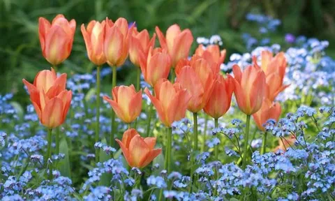 Từ nay đến 6/12: Top 3 con giáp này được quý nhân chống lưng, tài vận đeo bám, sự nghiệp lên dốc phà phà