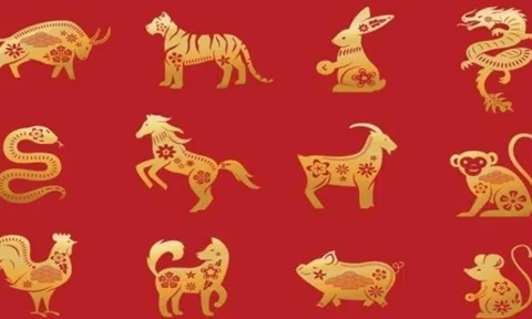 Tử vi 12 con giáp hôm nay ngày 27/11/2023: Tuổi Tỵ trở ngại khi kiếm tiền, tuổi Thân vướng tin đồn thất thiệt