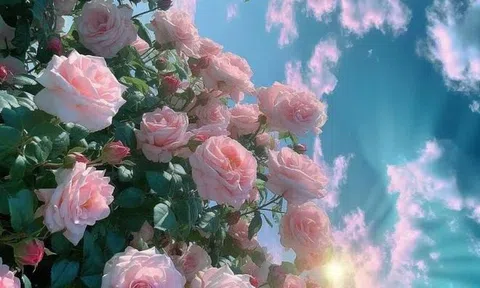 3 con giáp được Thần Tài điểm danh, may mắn không thể cản trong tháng 1/2024