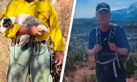 CẢM ĐỘNG: Chú chó gầy rộc, mất nửa trọng lượng cơ thể sau 10 ngày nằm canh người chủ quá cố