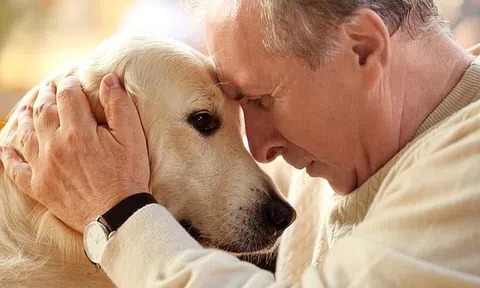 Tại sao người già nhất định phải nuôi một chú chó?