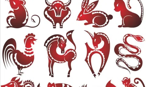 Tử vi 12 con giáp hôm nay ngày 14/12/2023: Tuổi Tỵ cẩn thận lừa đảo, tuổi Tuất làm sếp mất lòng tin