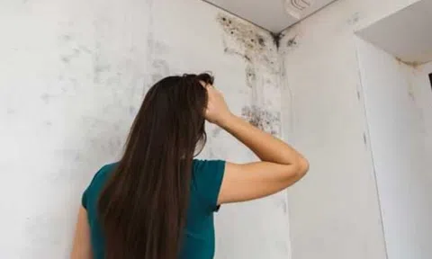 Dọn dẹp nhà thuê, người phụ nữ tóa hỏa phát hiện vật thể màu cam sùi to ở bệ cửa sổ