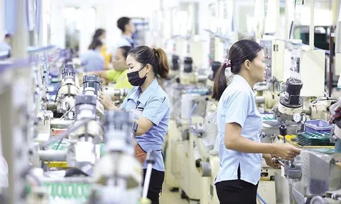 5 chính sách mới nổi bật có hiệu lực từ tháng 1/2024