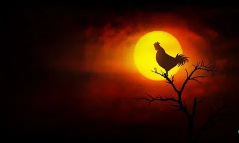 Người xưa đúc kết: Nếu trong nhà có 4 tiếng kêu này, tai họa chắc chắn sẽ đến