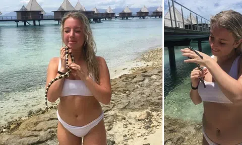 Rùng mình thấy cô gái vô tư âu yếm sinh vật độc gấp 10 lần rắn đuôi chuông trên bãi biển