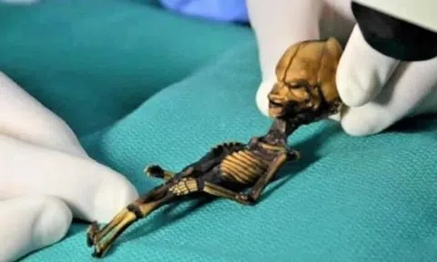 Bí ẩn đằng sau bộ xương 'người ngoài hành tinh' Ata được làm sáng tỏ sau 20 năm