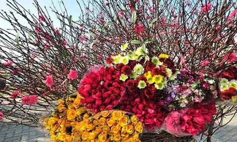 Mẹo giữ hoa tươi lâu ngày Tết, hết mùng vẫn chưa tàn