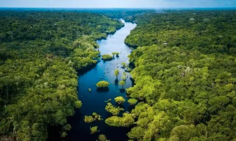 Dòng sông đáng sợ bậc nhất thế giới, con người không thể bắc cầu hay xuống nước bơi