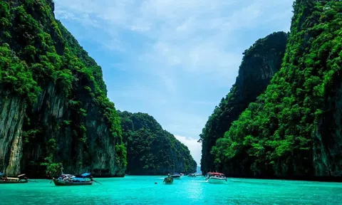 Đang dạo biển Phuket, du khách phát hiện sinh vật biển khổng lồ, toàn màu trắng cực quý hiếm