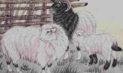 Trước Tết, 5 con giáp này vận đỏ như son, tài vận hanh thông, tiền tiêu rủng rỉnh khiến nhiều người ghen tị