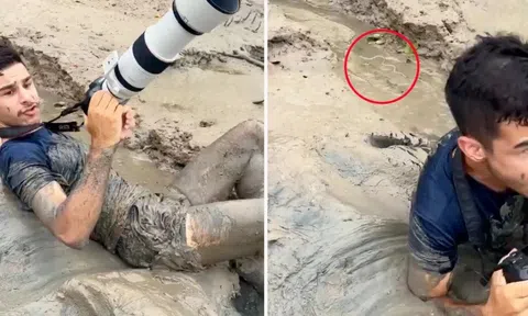 Đang lội bùn chụp ảnh, chàng trai hoảng hồn vì rắn biển cực độc mon men ngay trên đầu