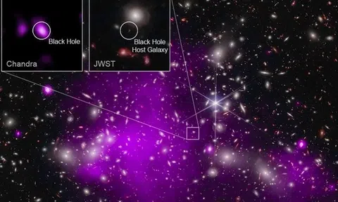 Phát hiện lỗ đen 13,2 tỷ năm tuổi siêu to khổng lồ, đang 'ăn thịt' thiên hà chủ