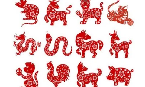 Tử vi 12 con giáp hôm nay ngày 26/1/2024: Tuổi Tý trì trệ khi kiếm tiền, tuổi Dậu đào hoa nở rực rỡ