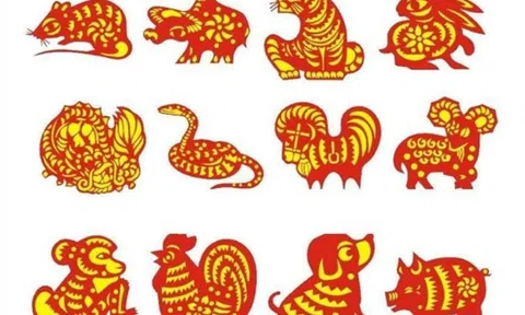 Tử vi 12 con giáp hôm nay ngày 27/1/2024: Tuổi Sửu cẩn thận sập bẫy khi kiếm tiền, tuổi Tuất tiêu tiền như nước