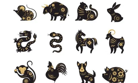 Tử vi 12 con giáp hôm nay ngày 30/1/2024: Tuổi Mão hãy kiềm chế nóng giận, tuổi Ngọ thiếu kiên nhẫn sẽ xui xẻo