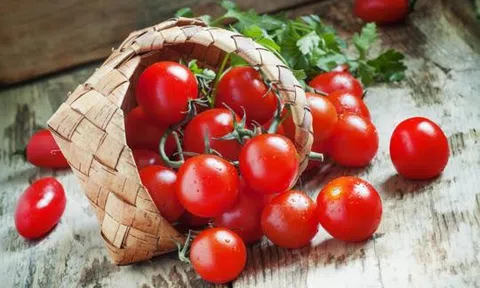 Tất tần tật về cà chua bi: Lợi ích tuyệt vời với sức khỏe không phải ai cũng biết