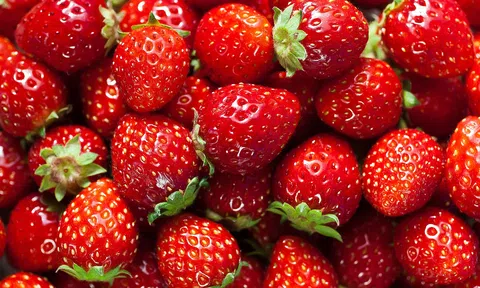 Những lý do nên ăn dâu tây mỗi ngày: Lợi ích tuyệt vời cho sức khỏe