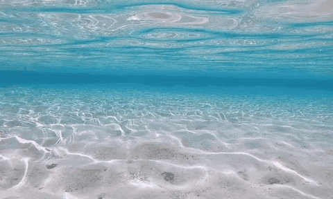 Sốc tận óc với quá trình hình thành nên cát ở đại dương