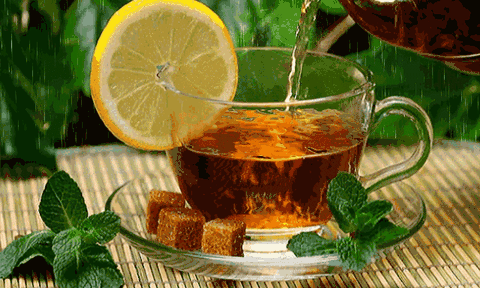 Những loại trà có tác dụng hạ huyết áp