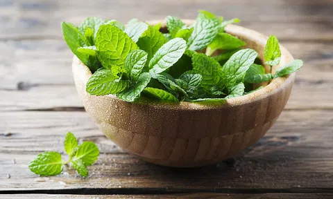 Bạc hà có tác dụng gì? 8 lợi ích của bạc hà ai cũng nên biết