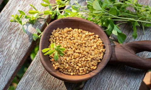 Cỏ cà ri - Dược liệu 'thần kỳ' có tác dụng cực tốt cho sức khỏe