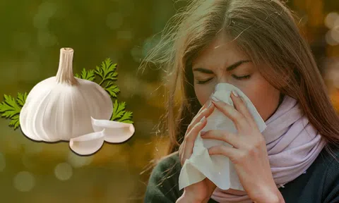 Tại sao ăn tỏi lại chống được cảm lạnh và cúm?