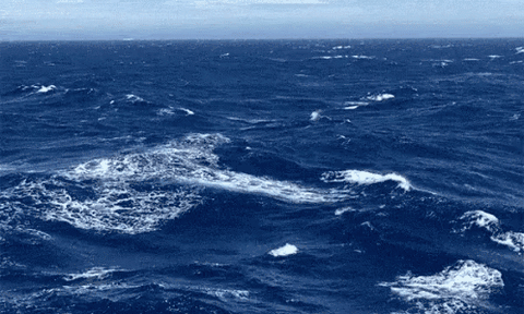 Nước biển có vị mặn là do đâu?